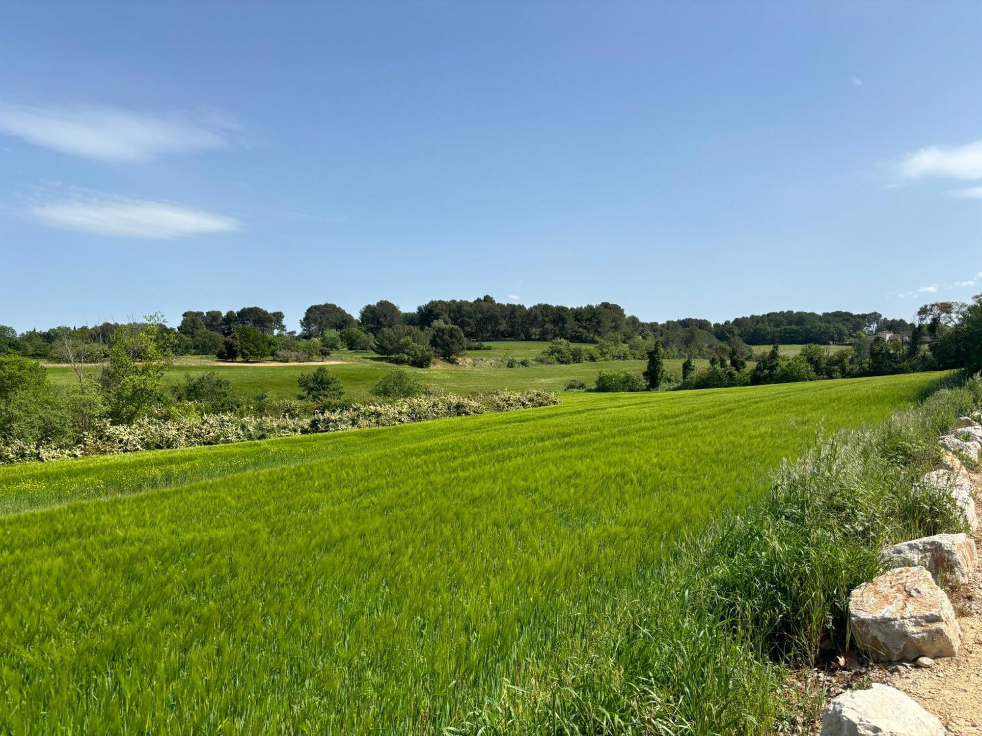 Havre De Paix Au Sein D'Un T3 D'Une Bastide Aixoise Aix-en-Provence Esterno foto