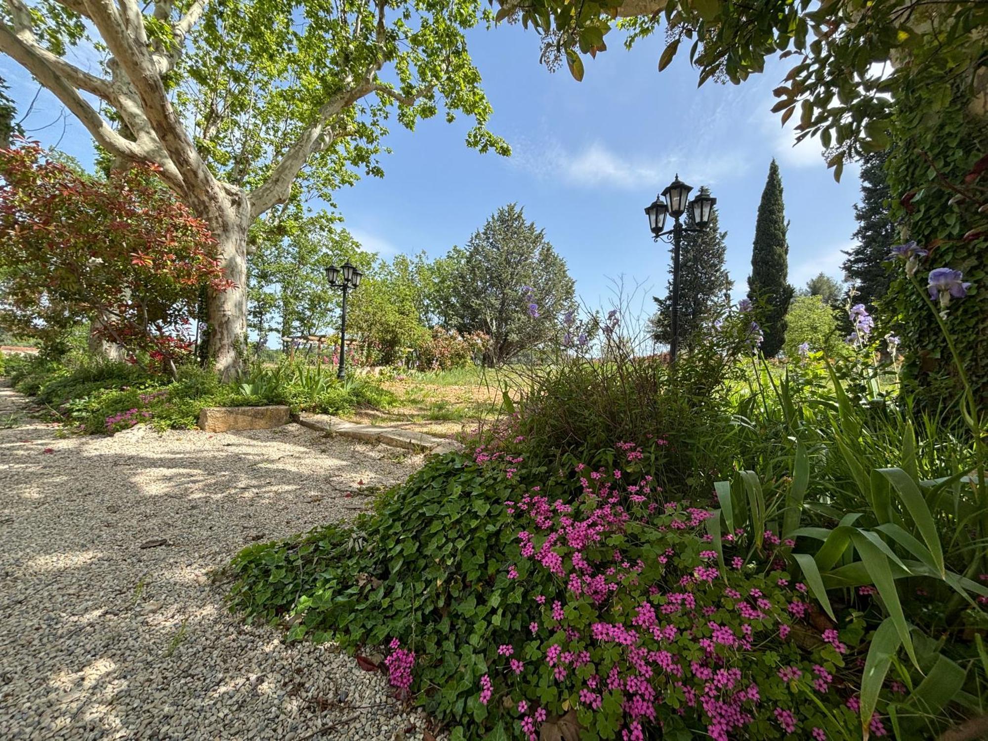 Havre De Paix Au Sein D'Un T3 D'Une Bastide Aixoise Aix-en-Provence Esterno foto